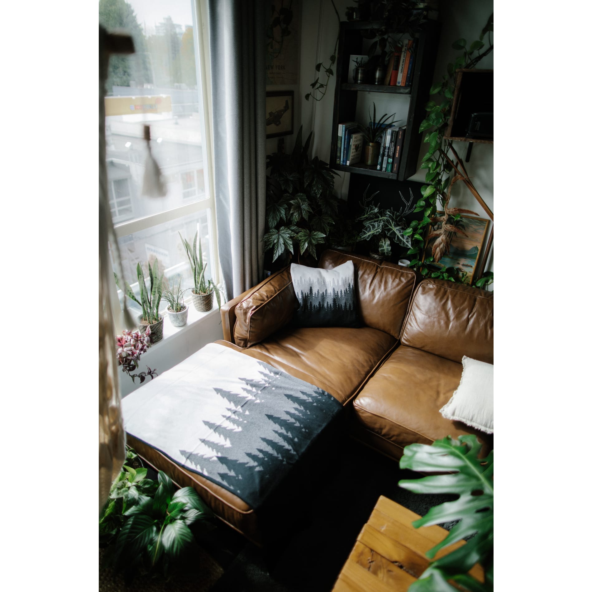 tentree Organic Cotton Juniper Blanket